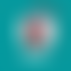 Një emër që i bën nder gjuhës shqipe