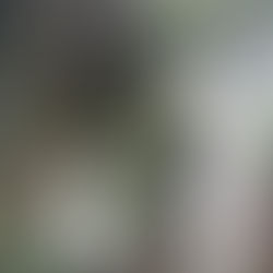 Kush ka të drejtë?!