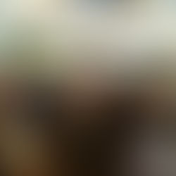 Nimfa që foli herët...