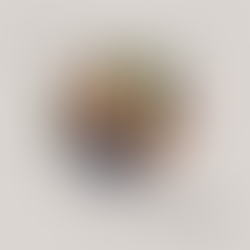  Çaush Kullafi: Përjetim dhe reflektim...