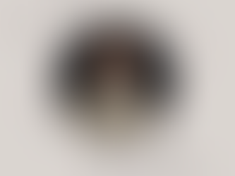 Frank Shkreli: ABAZ KUPI, I HARRUAR DHE I KEQTRAJTUAR NGA HISTORIA ZYRTARE