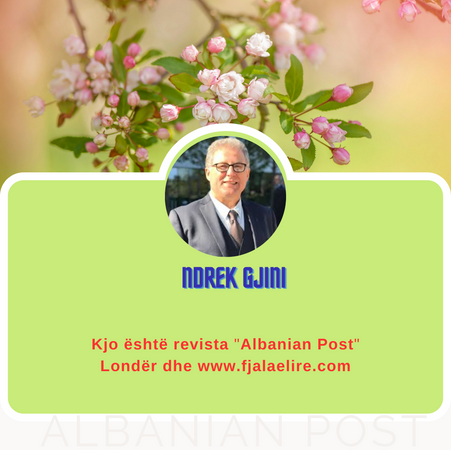 Ndrek Gjini: BOSHNJAKU BËHET DEPUTET ME VOTAT E SHQIPTARËVE