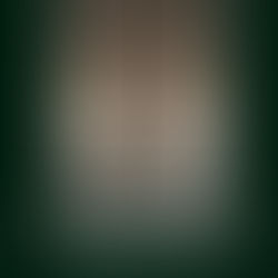 DY AFABETET E GJUHËS SHQIPE