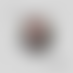 Fatmir Terziu: Nga biseda telefonike me shkrimtarin dhe muzikantin shqiptaro-amerikan, Thani Naqo