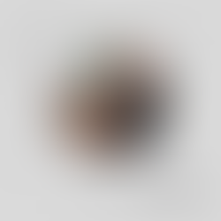 Fatmir Terziu: Artisti që pikturon... muzikë