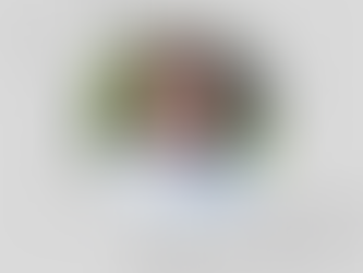 Vjollca Tiku Pasku: MOZAIKU I MALLKIMIT