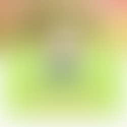 Minush Hoxha: I shurdhti