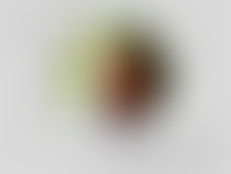 Armand Zoga: "Ndërroi jetë"