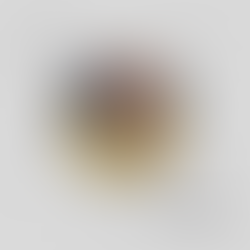 Fatmir Terziu: Fetah Biza, intelektuali që rend pas dritës