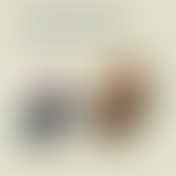 4 Korriku i munguar tek shqiptarët