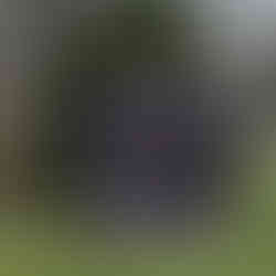 Deco Quilt, Pattern from Lo & Behold Stitchery, Pantograph Baptist Fan