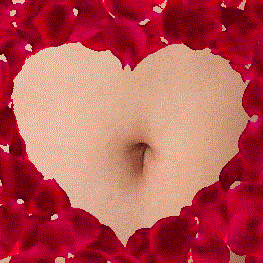 logo.gif