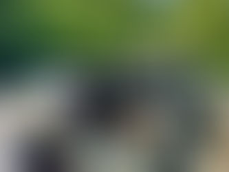 Yamaha R125 2024 Crashed!