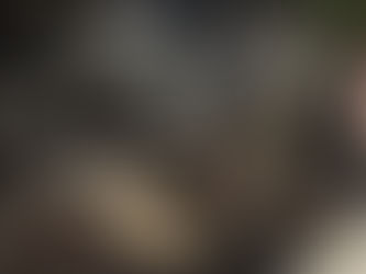 Two Crashes, Two Insurance Payouts