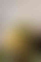 baby shower catering