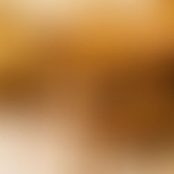 Wooden Chairs Online