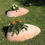 Thumbnail: Terracotta Stone Pot