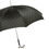Thumbnail: Paisley Umbrella with Horn Handle