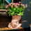 Thumbnail: Hercules Cantaloupe Vase