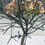 Thumbnail: Natural Sculpture May