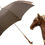 Thumbnail: Brown Horse Handle Umbrella