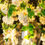 Thumbnail: Flower Power Crystal Egg White Cascade Round Chandelier