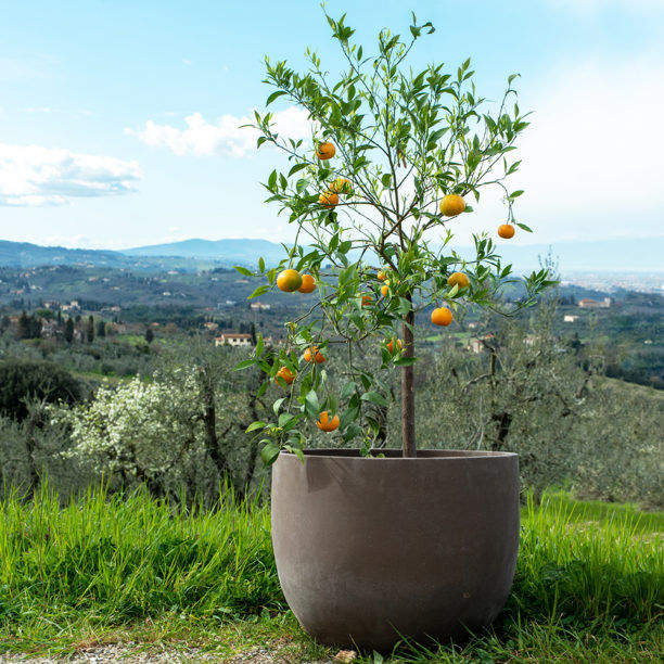 Miniatura: Terakotový květináč Bulb