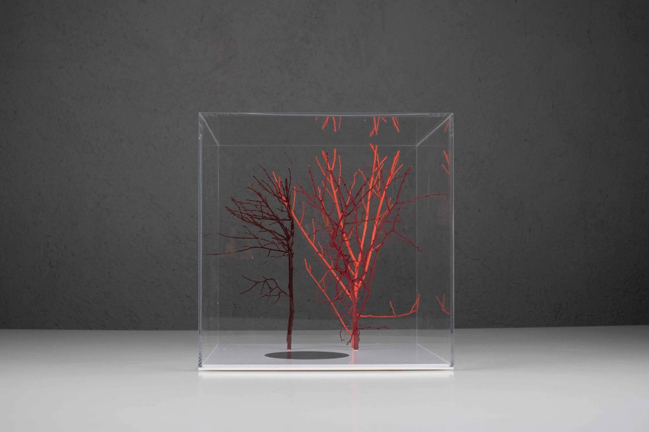 Natural Sculpture October