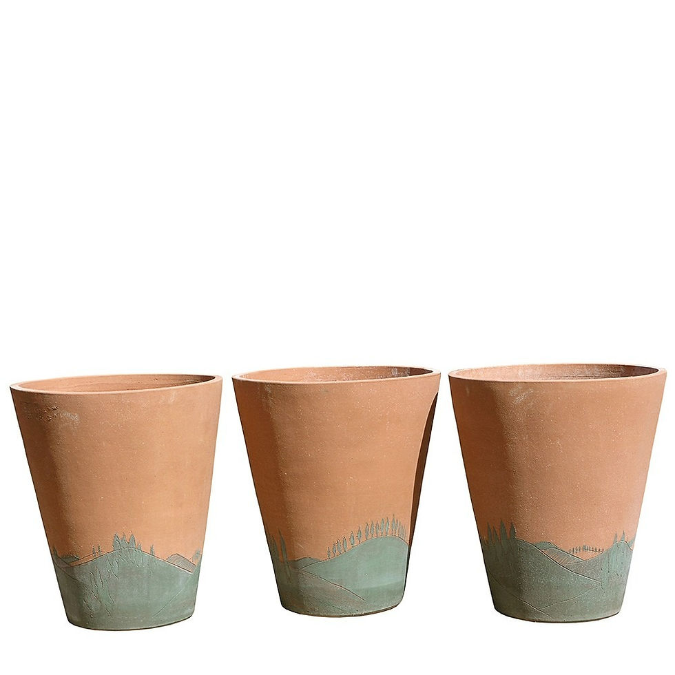 Thumbnail: Terracotta Flower Pot with Cypresses