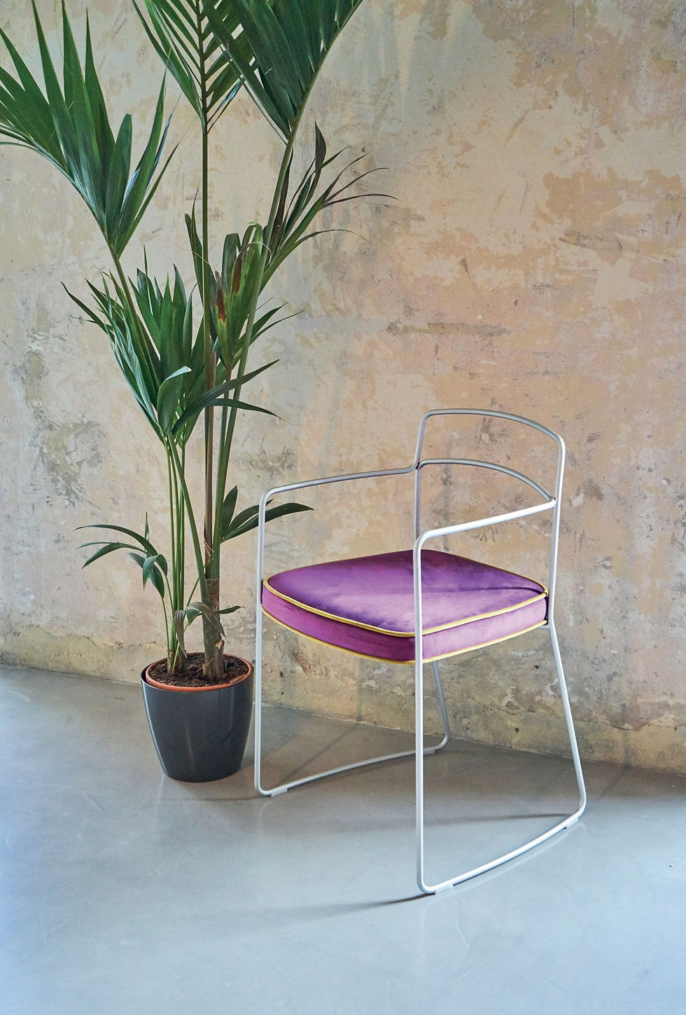 Miniatura: Seidecimi Aureo Židle