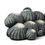 Thumbnail: Cactus sofa by Maurizio Galante