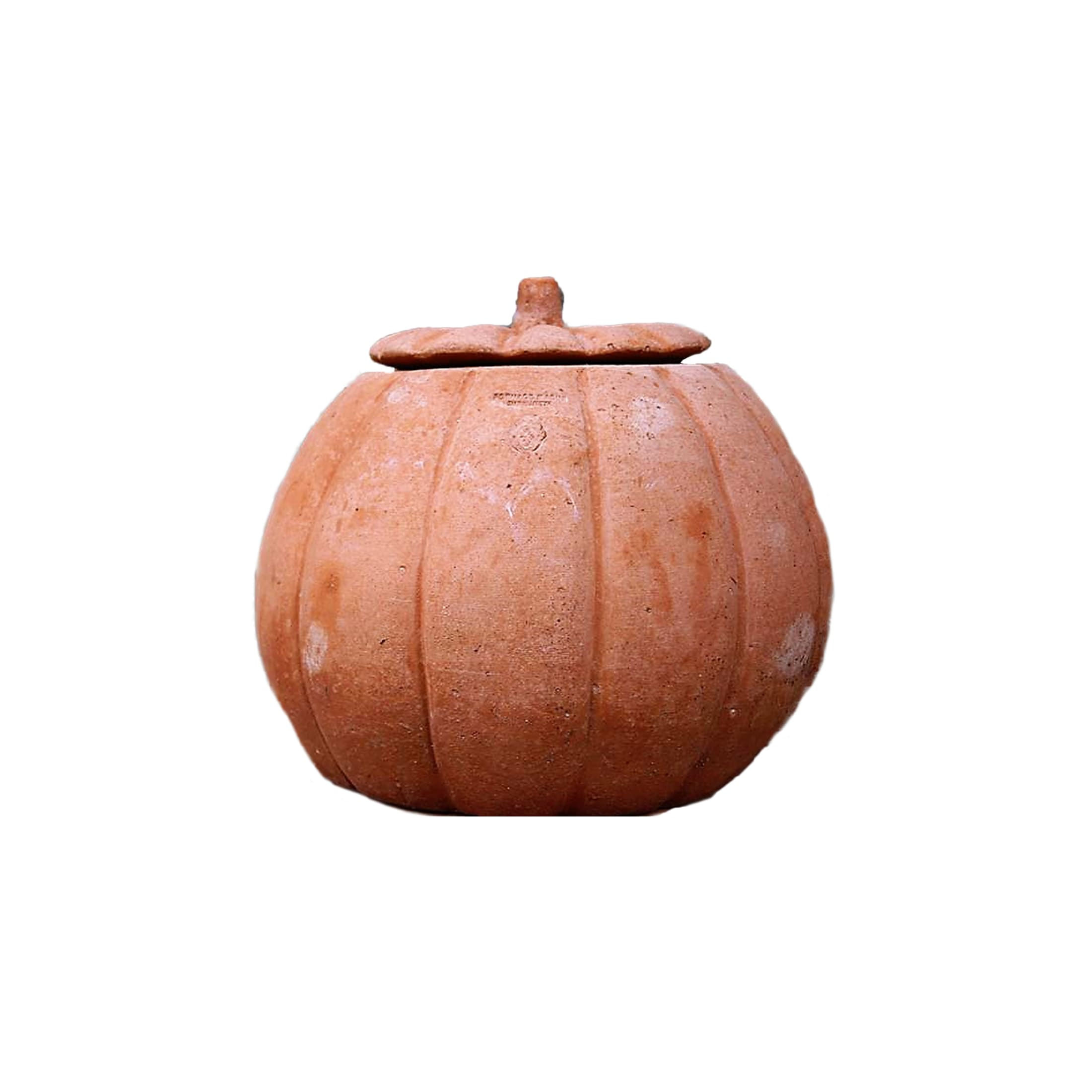 Set of 2 Terracotta Pumpkin Pots