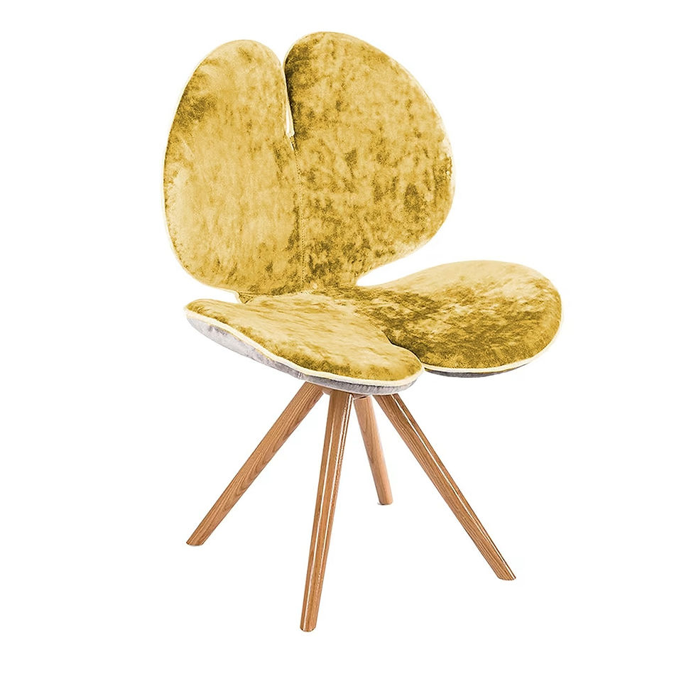 Pansé - set of 2 chairs