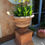 Thumbnail: Terracotta Vase Decorated with Angel and Stand