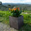 Thumbnail: Cube terracotta flower pot