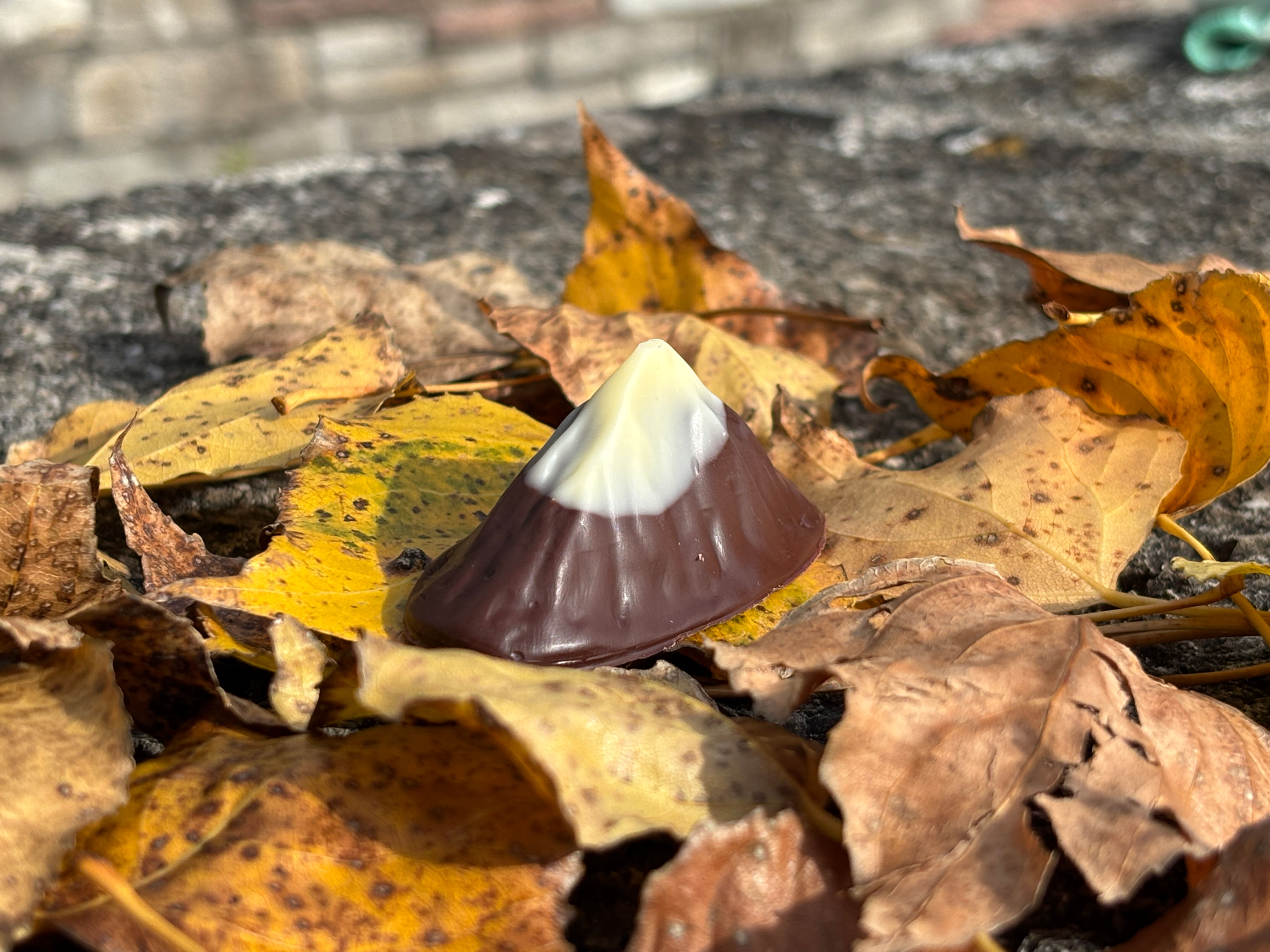 Niesen dunkel mit Giandujafüllung