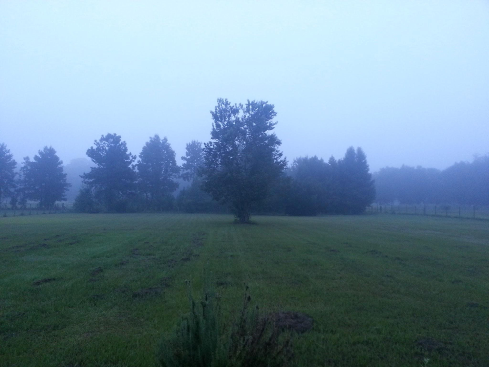 The Evolution of Ásatrú: What I’ve Seen and Experienced Thus Far