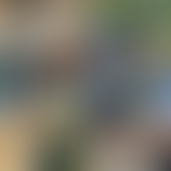 158 families were fed by AFA Food Pantries in July!