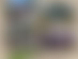 August AFA Food Pantries