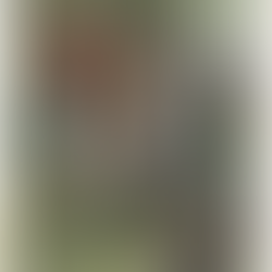 Prince Hermann of the Cherusci