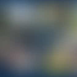 159 Families fed by AFA Food Pantries in August! Thank you to all who helped!