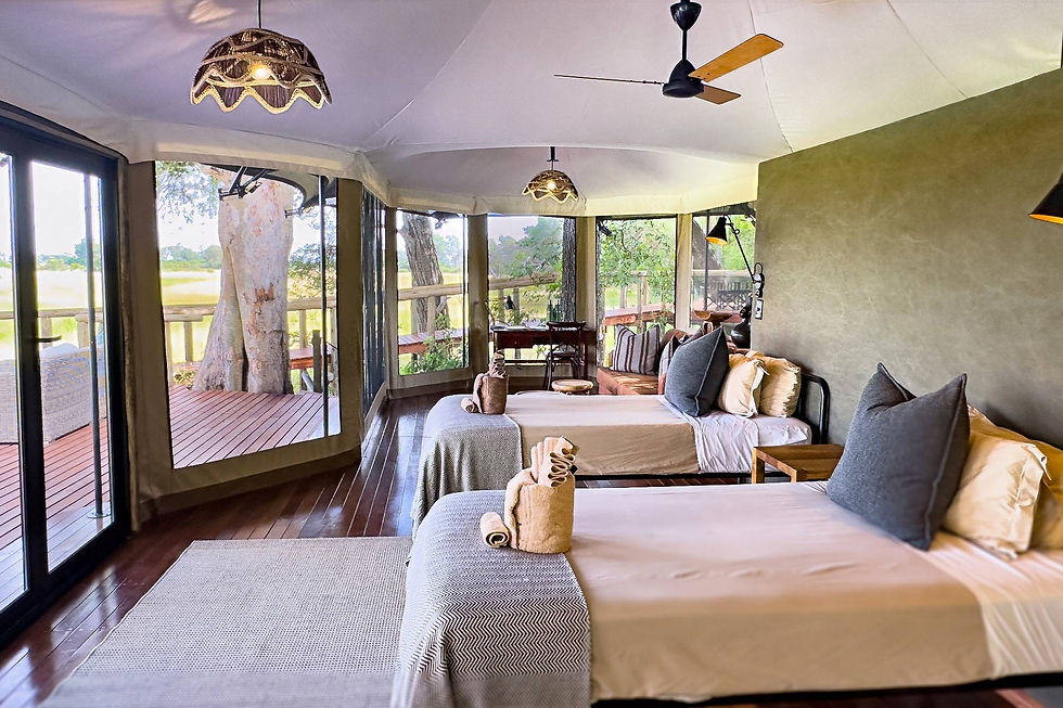 horse-safari-botswana-lodge