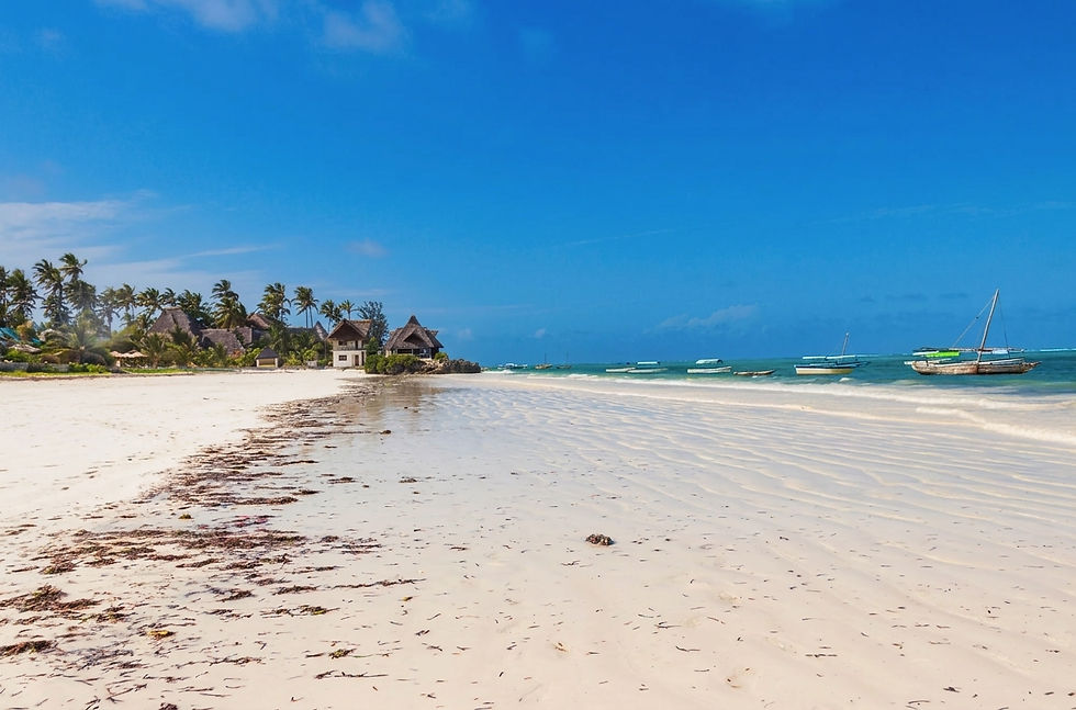 zanzibar-matemwe-mnemba-island-diving-beach.jpg