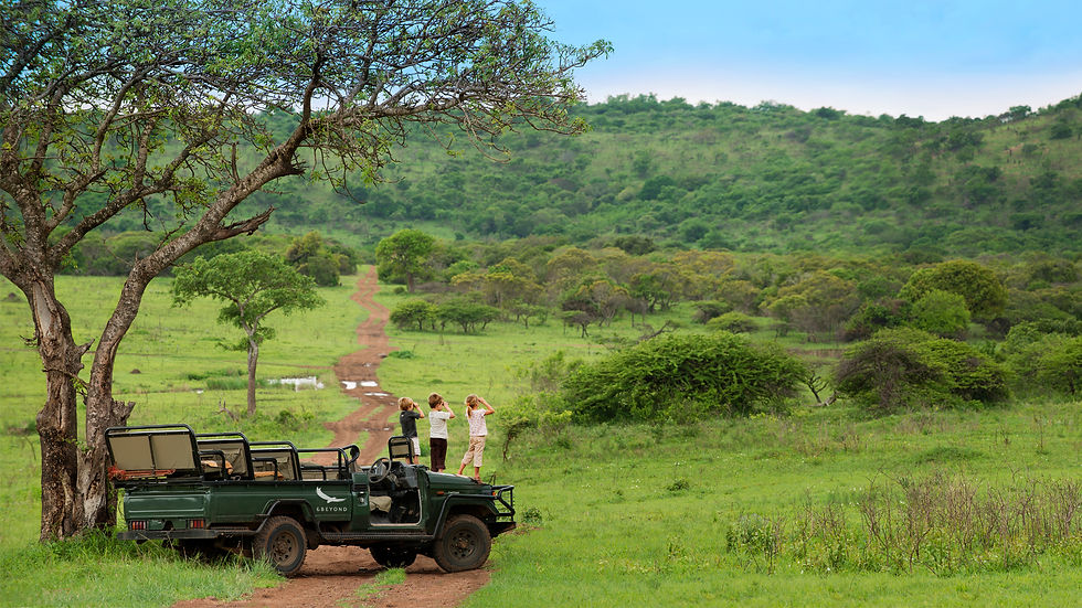 safari-with-kids-tanzania-game-drive-elephants-wildchild-phinda-kids.jpg