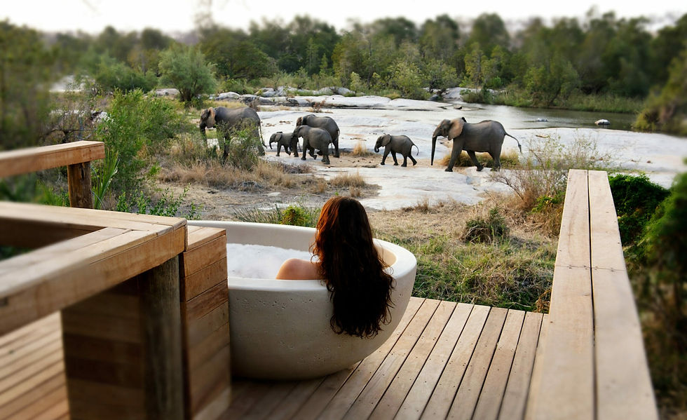 honeymoon-safari-bathtub-riverbed-elephants