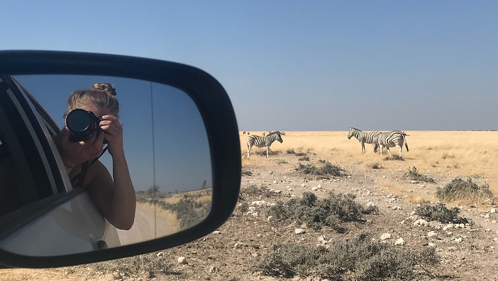 namibia-self-drive-etosha-photography-safari