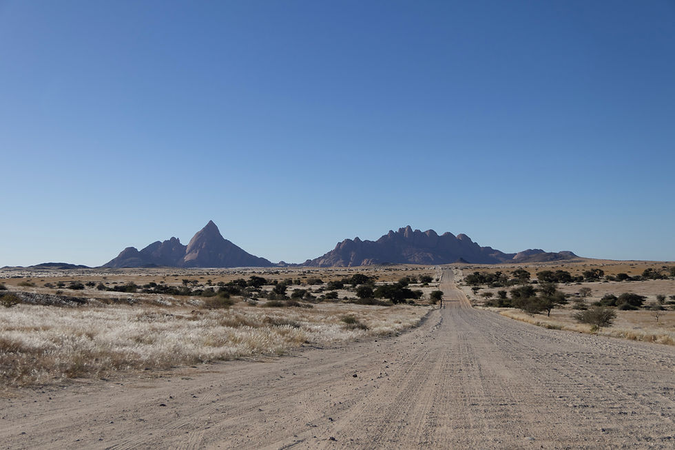 namibia-endless-road-conservation-safari-roeadtrip.jpg