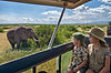 tanzania-family-safari-elephant-serengeti-luxury.jpg