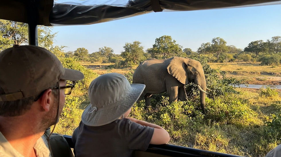 safari-with-kids-elephant-game drive