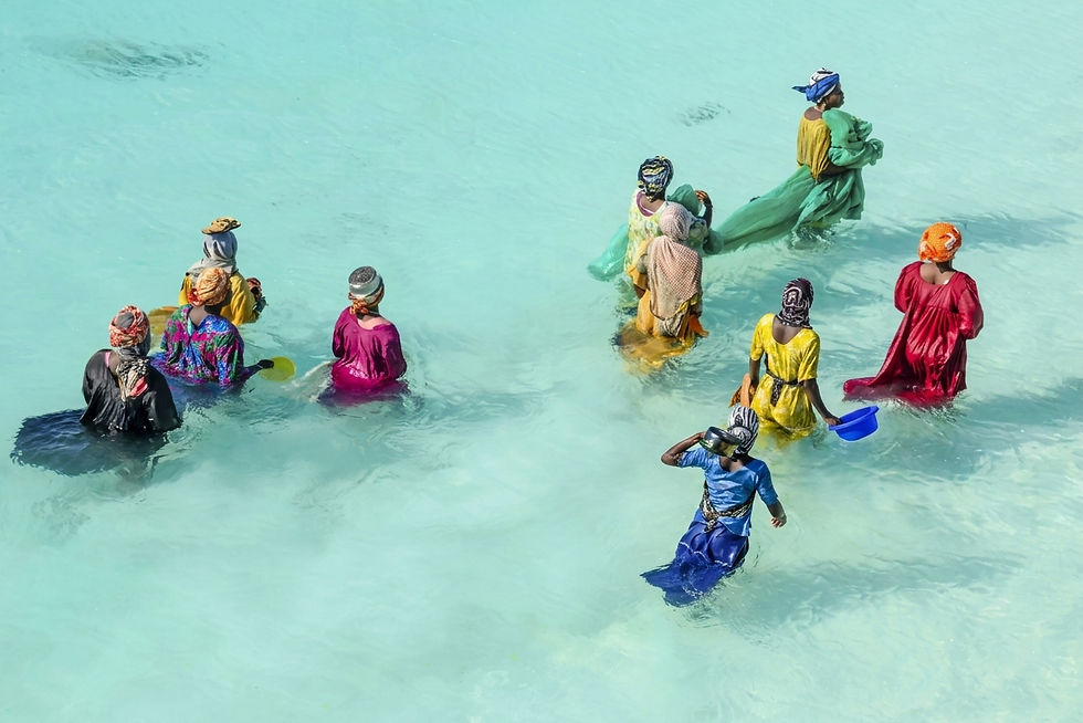 zanzibar-fishing-beach-safari.jpg